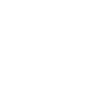 Steam
