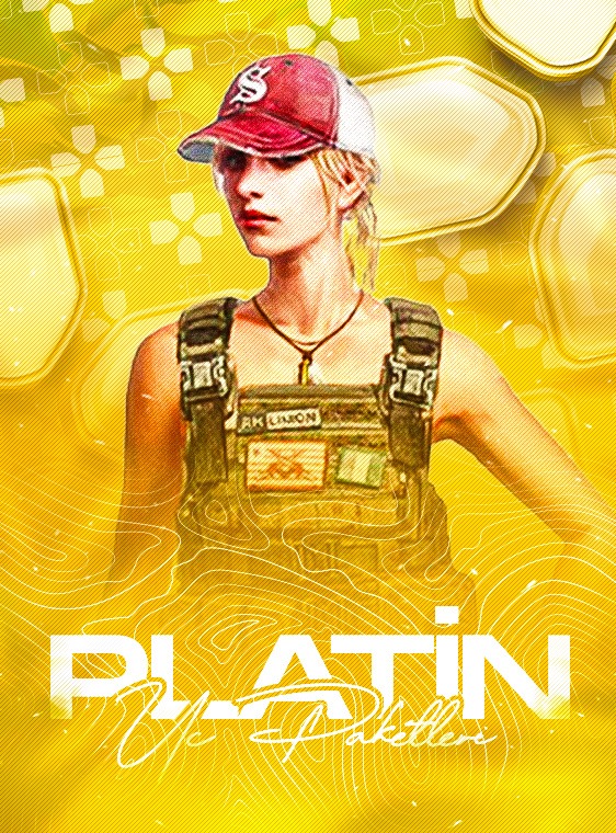 PUBG Mobile Platin UC Paketi
