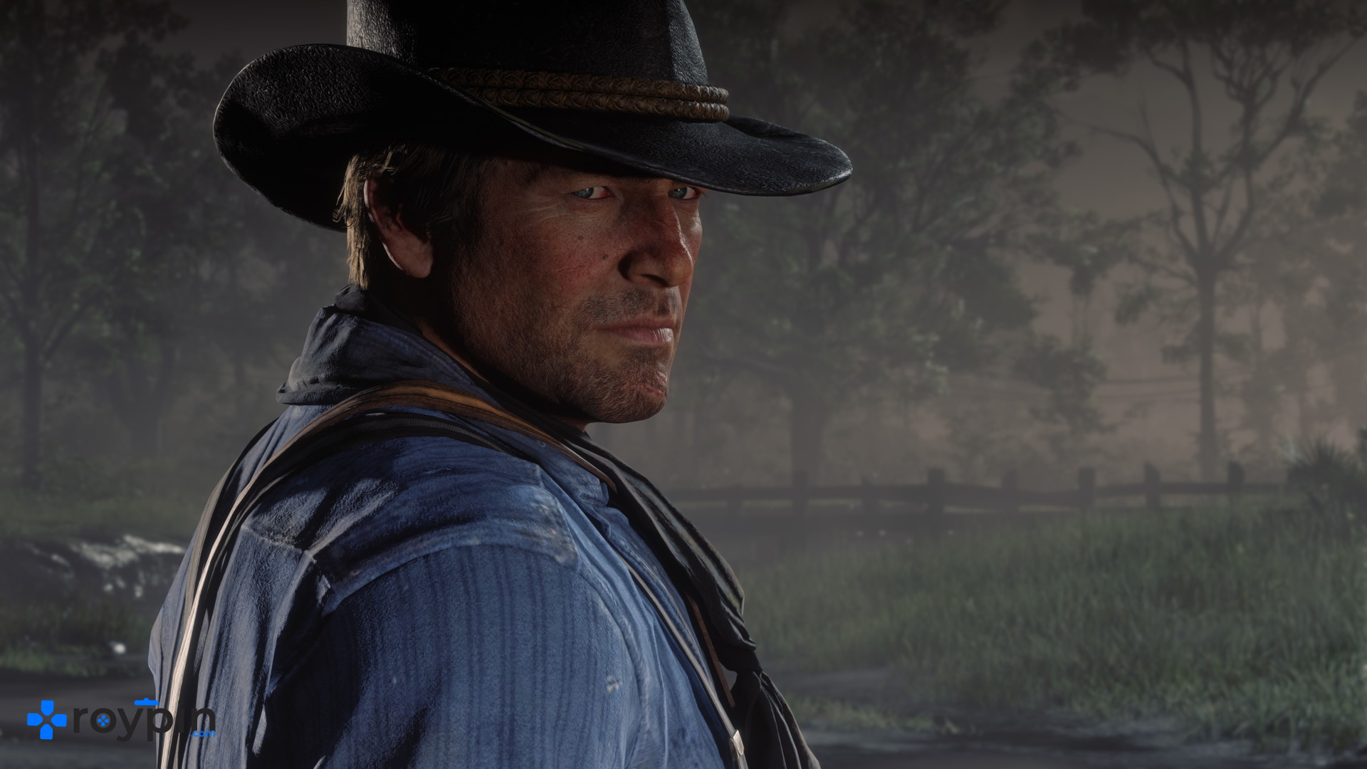 Red Dead Redemption 2 galeri görseli