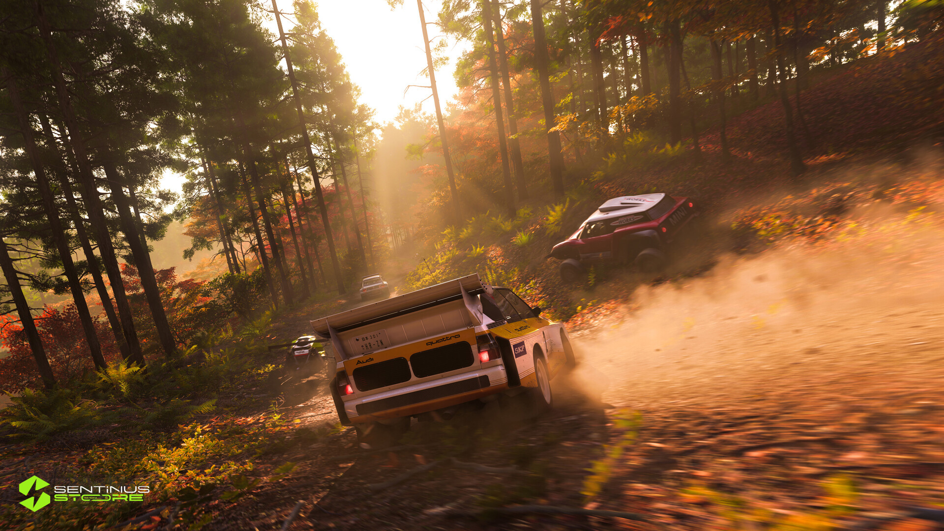Forza Horizon 6 galeri görseli