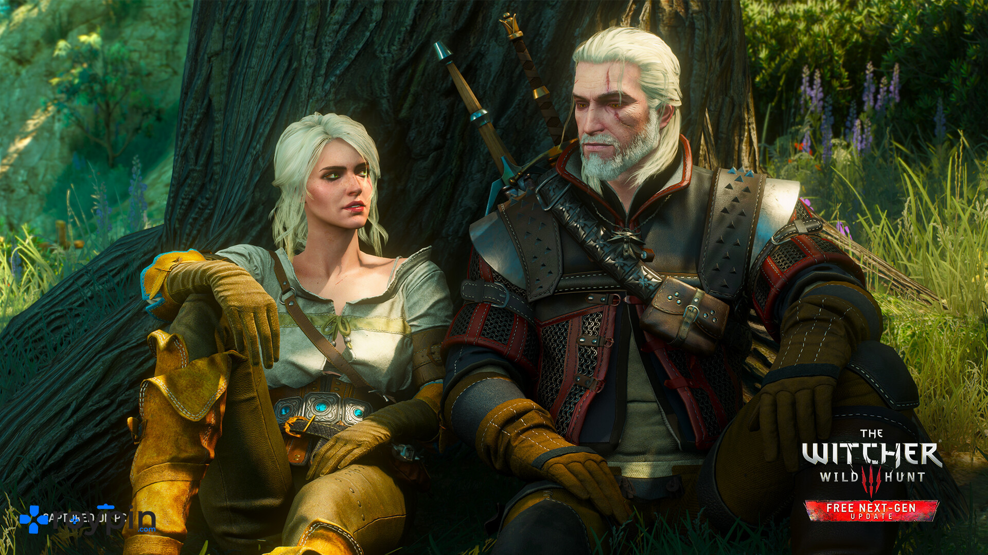 The Witcher 3: Wild Hunt galeri görseli